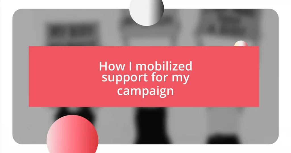 How I mobilized support for my campaign